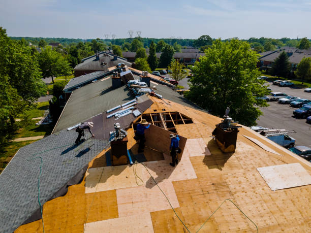 Best Storm Damage Roof Repair  in Irvine, KY