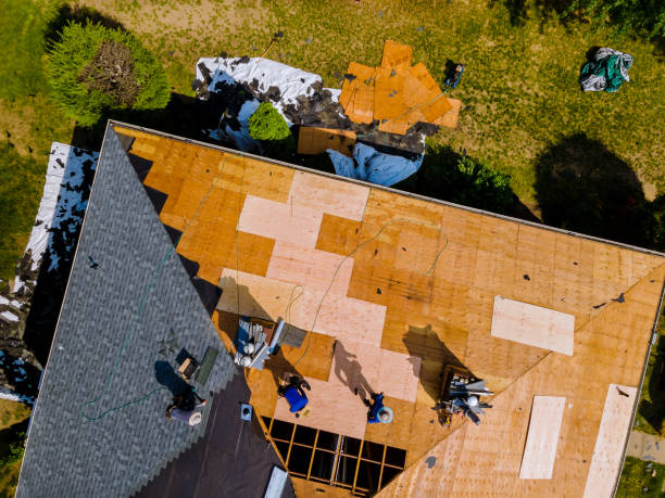 Best Best Roofing Contractors  in Irvine, KY