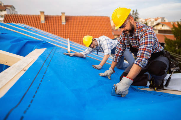 Best Residential Roofing Contractor  in Irvine, KY