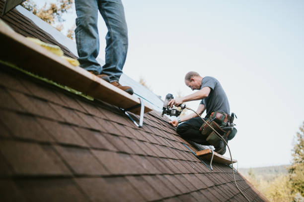 Best Roof Gutter Cleaning  in Irvine, KY